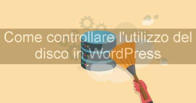 come controllare l'utilizzo del disco con wordpress