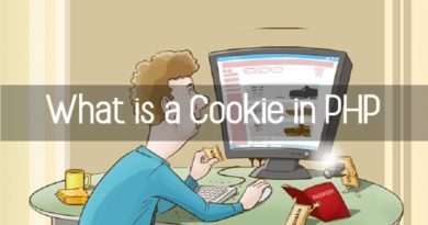 what is a cookie