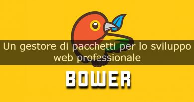 sviluppo web