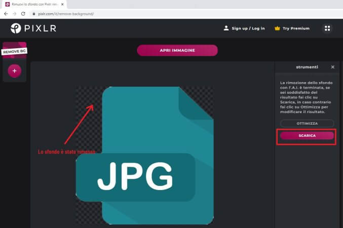 rimuovi sfondo online immagine