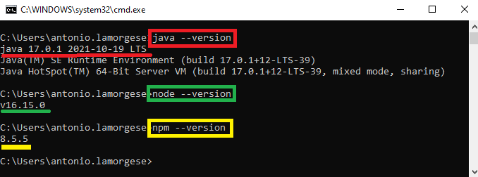 verifica della corretta installazione di Java, NodeJS e npm
