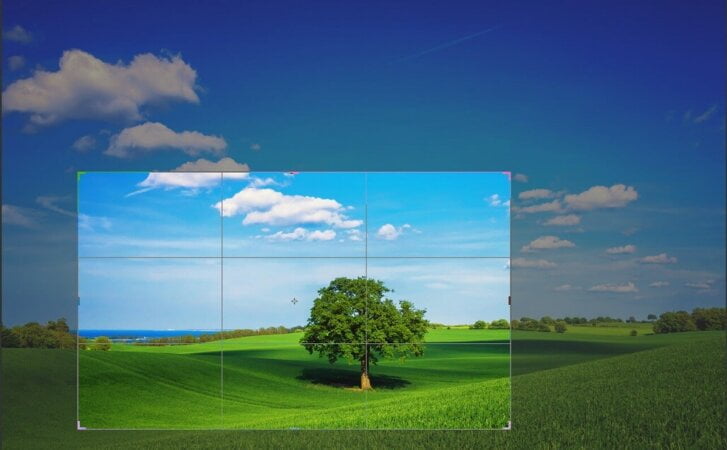 crop and clean your photos