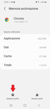 Gestisci i dati archiviati da Chrome, durante la navigazione.