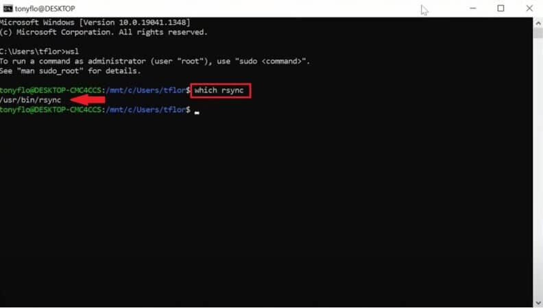 Verifica  esistenza comando RSync su Windows 10
