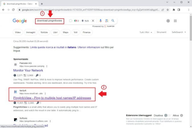 Cerca PingInfoView su Google